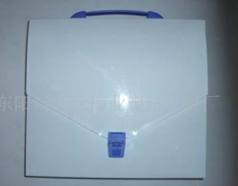 专业生产 各种 PP环保材料 档案盒 文件盒
