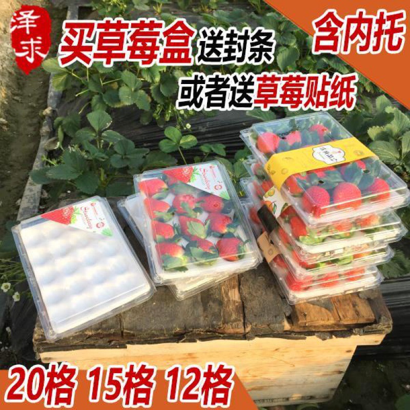 莓泡沫箱一次性快递带托水果盒15格12格20格一次性莓包装盒子