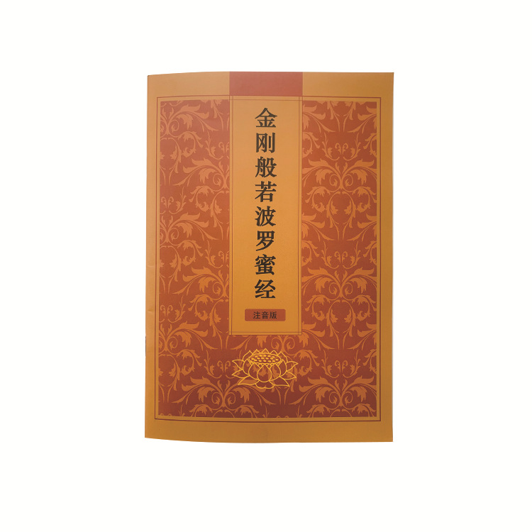 金刚经读诵本 手抄本佛经经书抄经本初学者正楷行楷临摹字帖硬笔