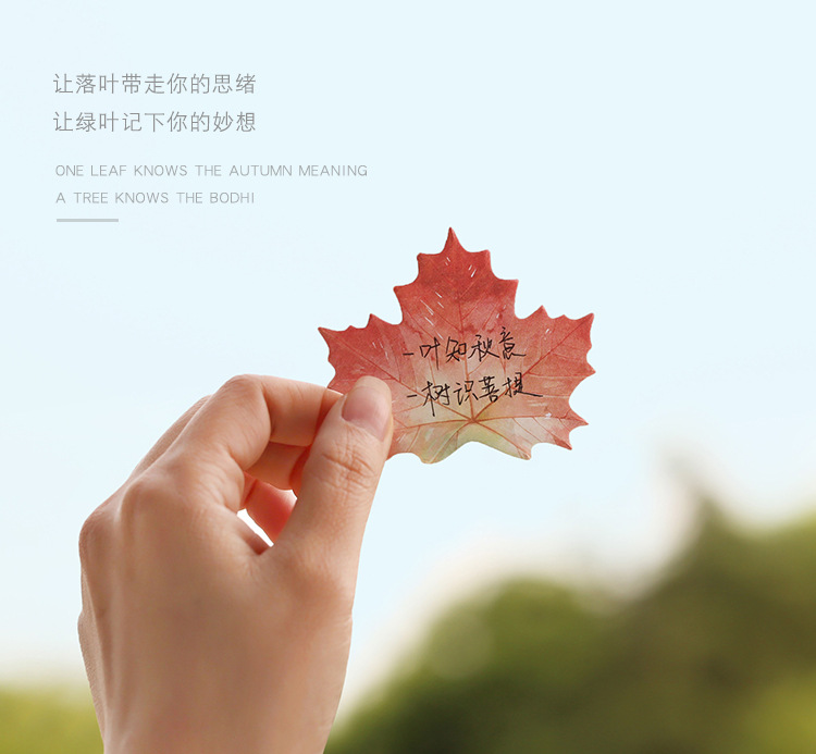 制物树叶便利贴_01.jpg