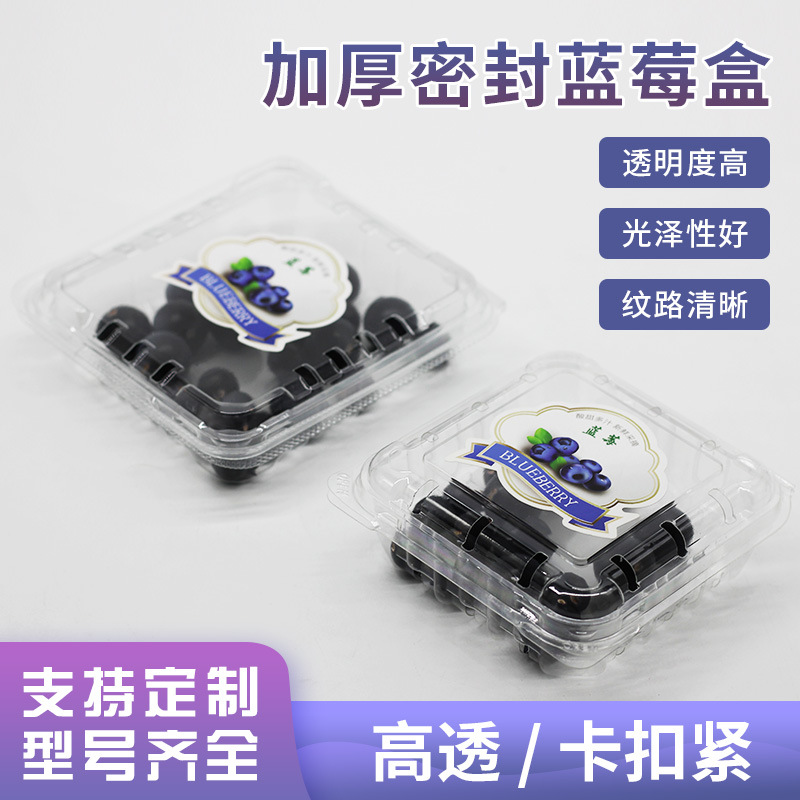 蓝莓盒透明一次性水果盒加厚PET吸塑盒塑料水果包装盒125g标签贴