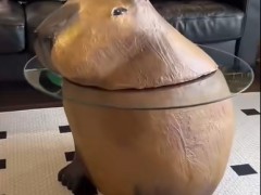 我做了一个卡皮巴拉茶几